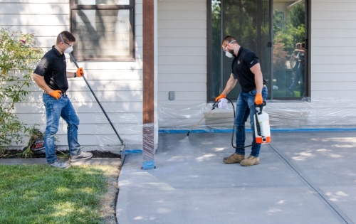 A team of LevelUp technicians applying DecoShield to concrete patio