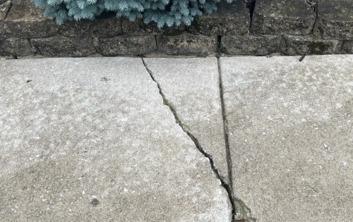 Severely cracked sidewalk